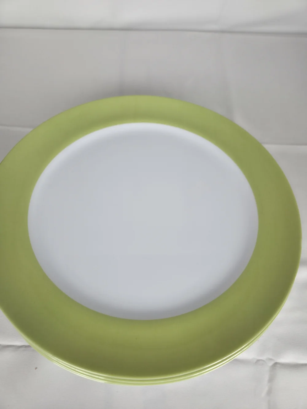 Plastic Picnic Plates 11